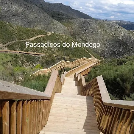 Macieira Brava Guarda