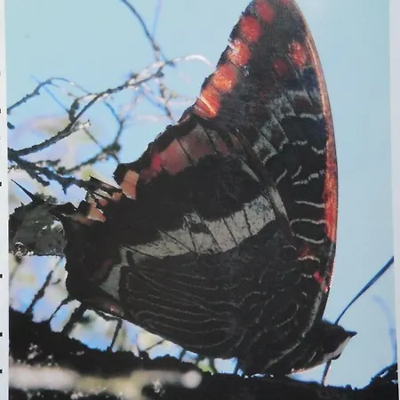 Apartment Macieira Brava *