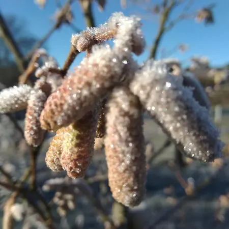Apartment Macieira Brava