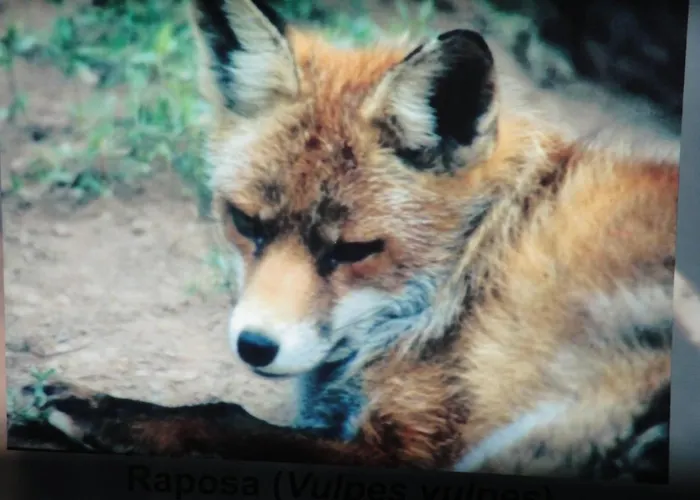 Macieira Brava Apartmán