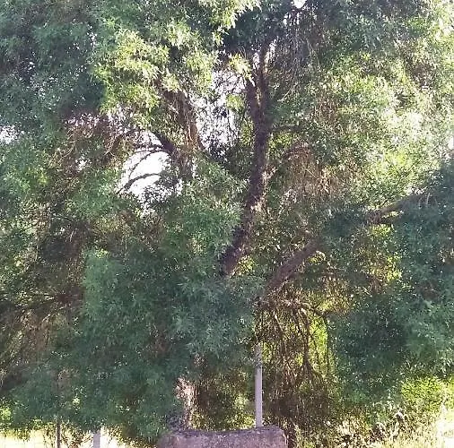 Apartmán Macieira Brava