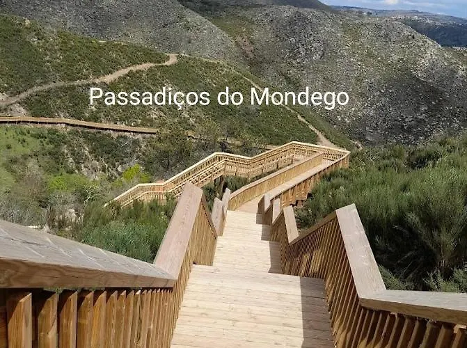 Macieira Brava Guarda