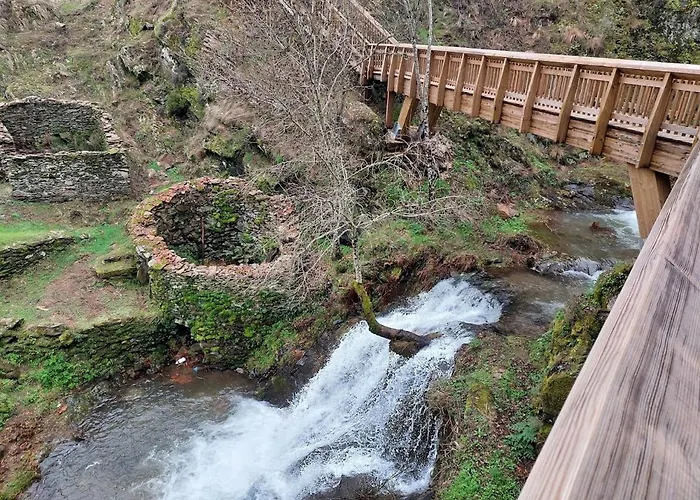 Macieira Brava * Guarda