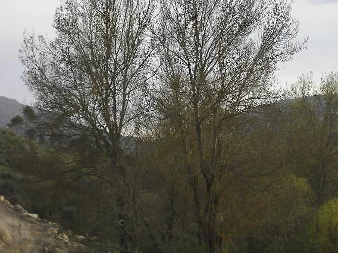 Apartmán Macieira Brava *