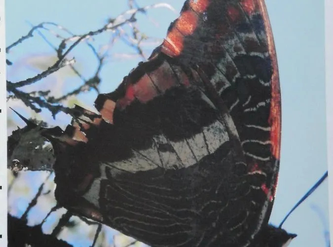 Apartmán Macieira Brava *