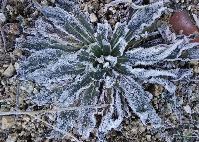 Macieira Brava Apartmán Guarda