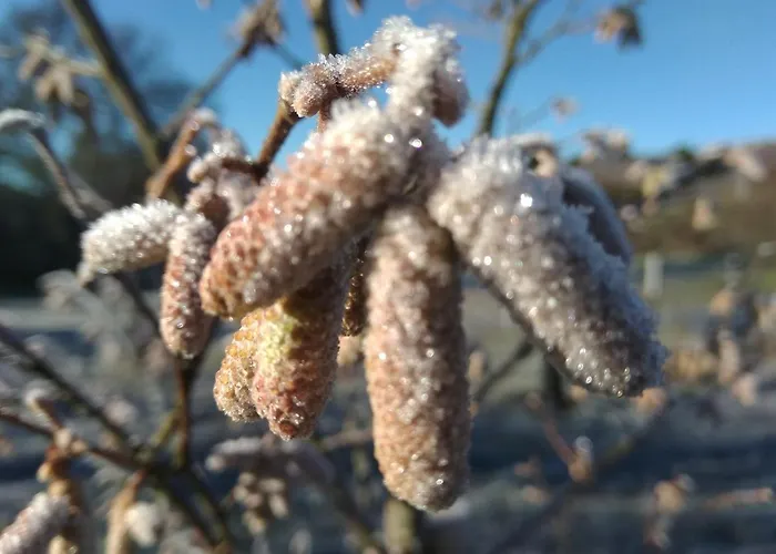 Apartmán Macieira Brava