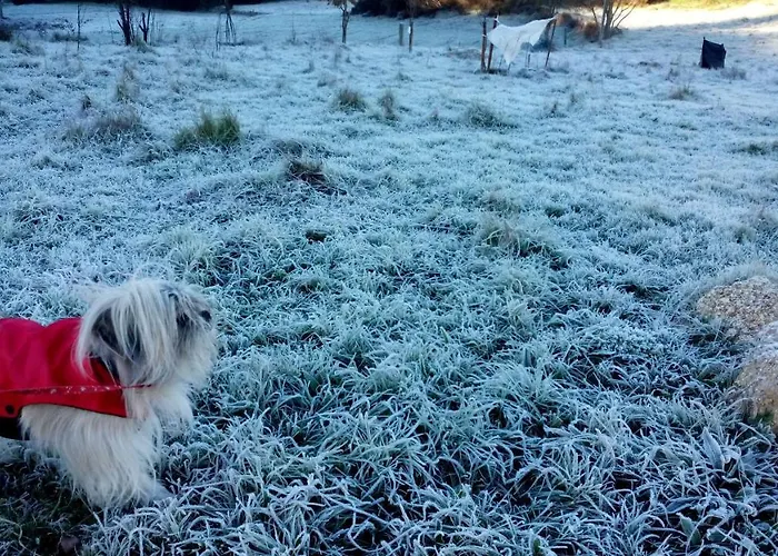 Macieira Brava Apartmán Guarda